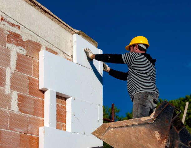 Best Eco-Friendly Insulation in Old River Winfree, TX