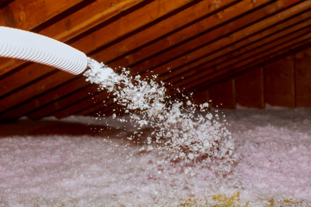 Best Fiberglass Insulation in Old River Winfree, TX